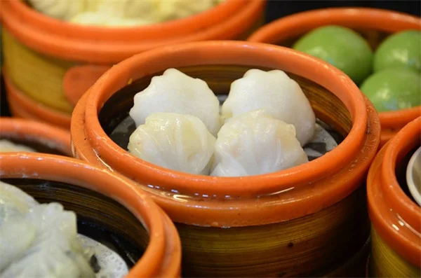 北西部5月の植え付け成功のコツを経験者が解説